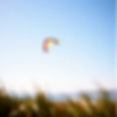 A Kite in Full Flight over Tomales Bay Vibrant kite soaring above Tomales Bay