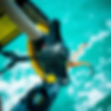 Close-up of kiteboarding safety features