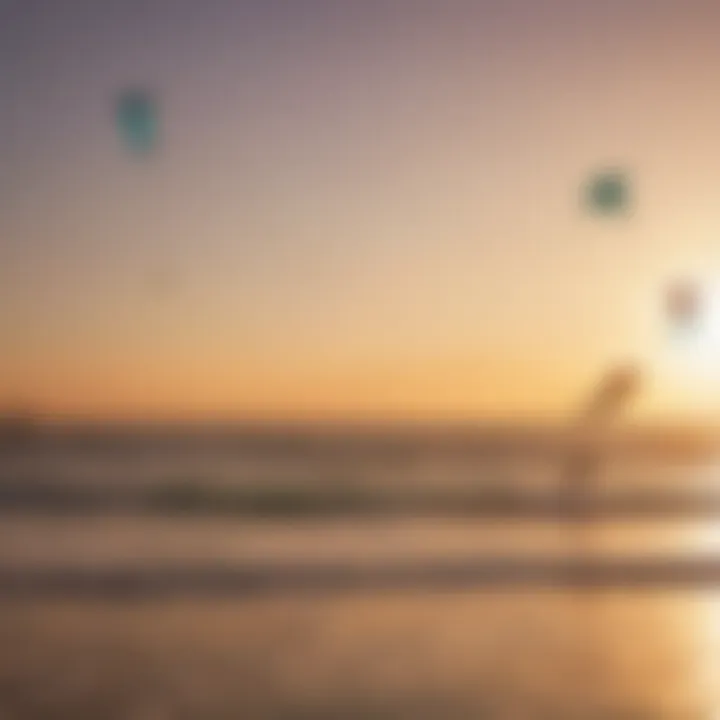 Colorful kites against the backdrop of a sunset at Venice Beach