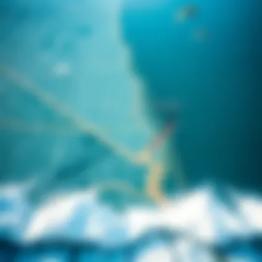 Detailed wind map of Chicago highlighting kiteboarding zones