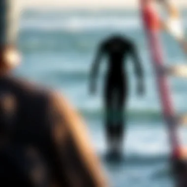 Diagram illustrating wetsuit types and their features