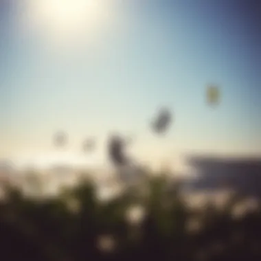 Kiteboarders enjoying a sunny day on the water