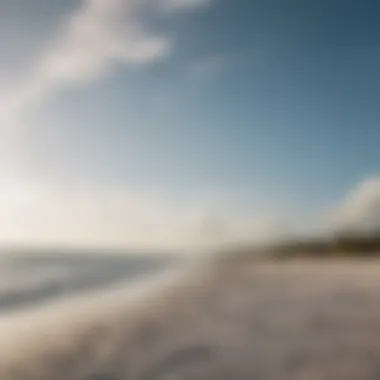 Scenic view of Holbox beach with kites in the sky