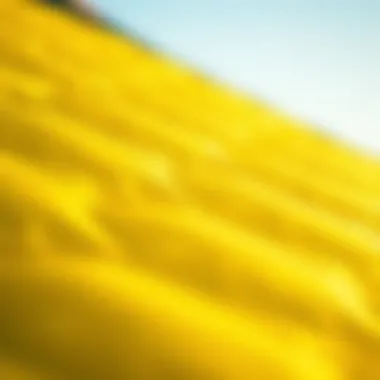 Close-up of high-quality materials used in inflatable kite wings