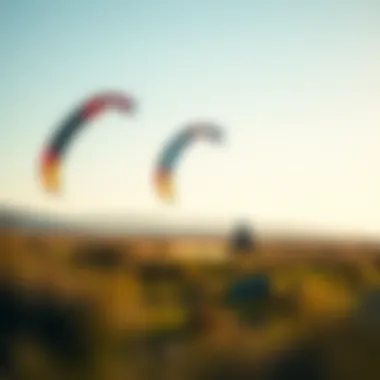 Diverse inflatable kite wings designed for various weather conditions