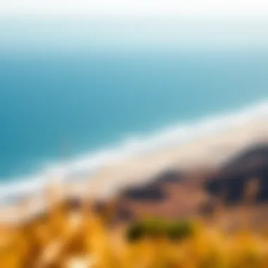 A stunning view of Jalama Beach showcasing its natural beauty and vast ocean.