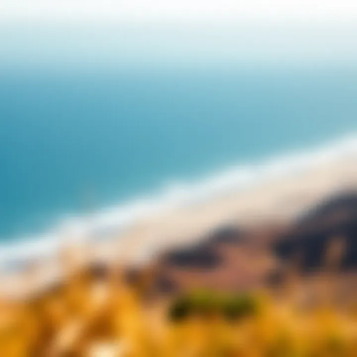 A stunning view of Jalama Beach showcasing its natural beauty and vast ocean.