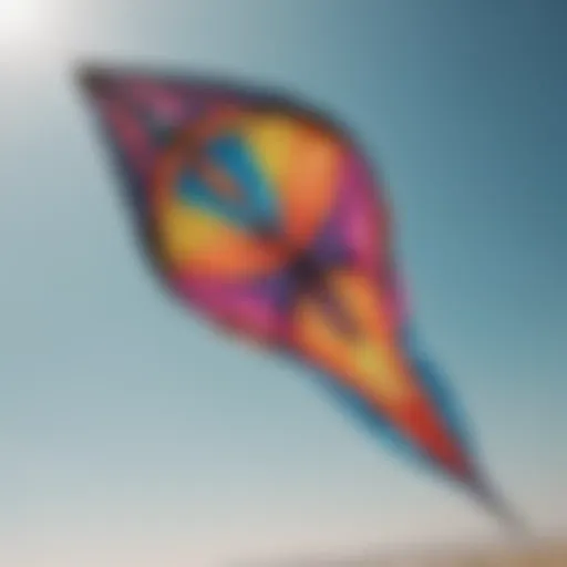 A colorful array of various kite designs showcasing different shapes and sizes