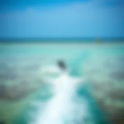 A kite surfer gliding over crystal-clear waters in the Florida Keys