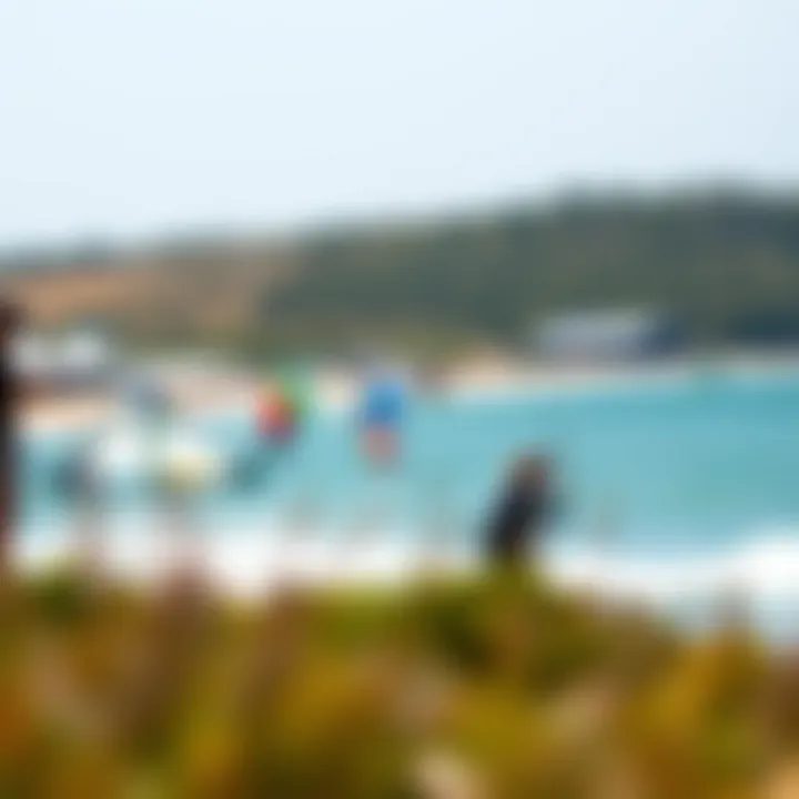 A scenic view of a kiteboarding competition featuring the 2016 Rebel kite