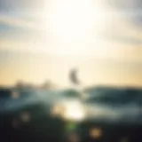 A stunning view of Tampa Bay, ideal for kiteboarding