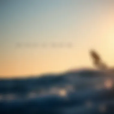 Comparison chart of kiteboarding technologies over the years with emphasis on the 2016 Rebel