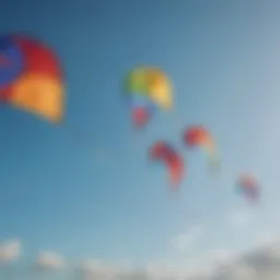 Vibrant big kites soaring against a blue sky