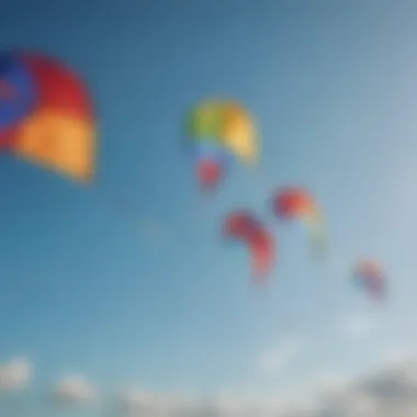 Vibrant big kites soaring against a blue sky