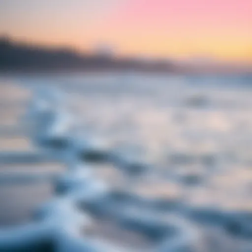 A serene view of Bodega Bay during high tide showcasing the dynamic water levels.