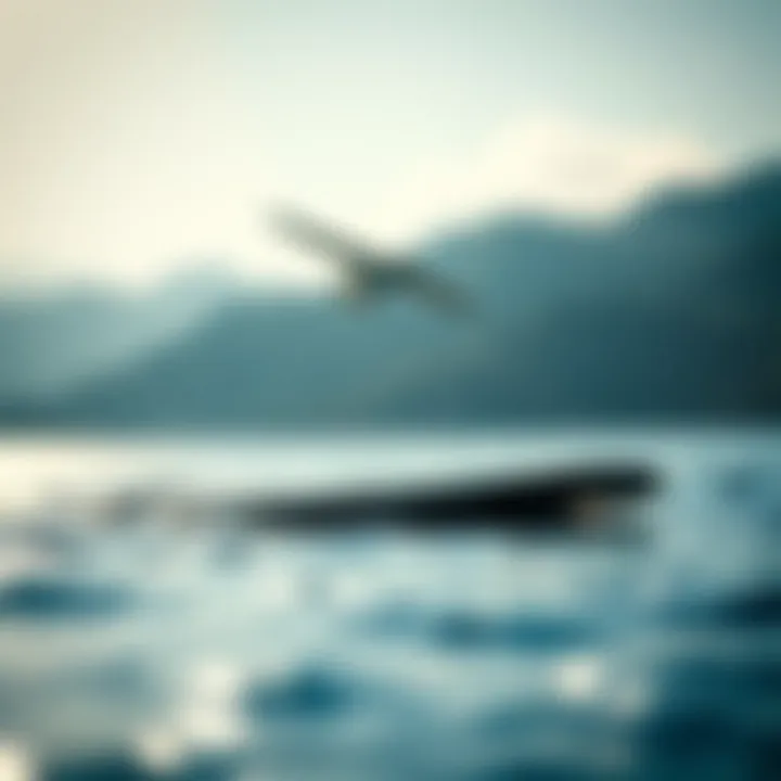 Sleek Design of the North Seek Foil Board North Seek foil board showcasing sleek design and construction