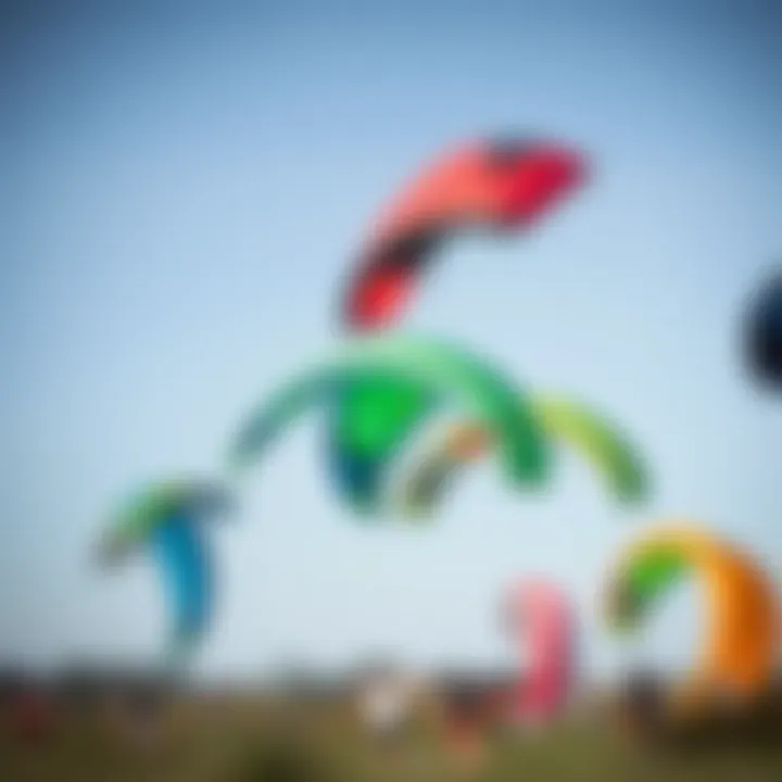 Different sizes of Ozone trainer kites displayed