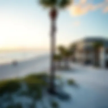 Stunning beachfront view in Ponce Inlet