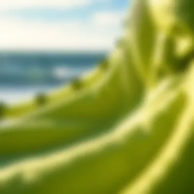 Close-up of kite material showcasing durability