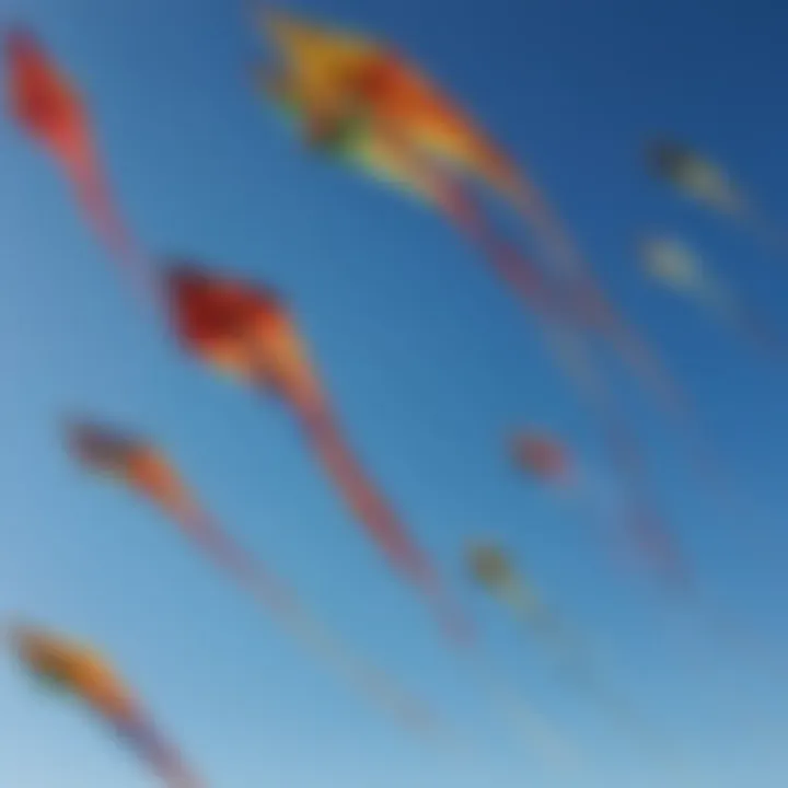 An array of colorful and uniquely shaped kites soaring in a clear blue sky