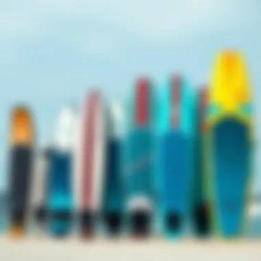 Popular foil board models displayed for comparison