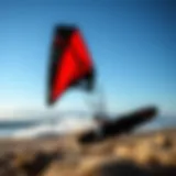 A sleek universal wing design showcasing aerodynamic features