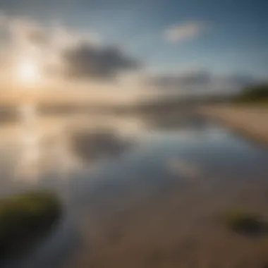 A breathtaking view of Barnstable Bay at low tide