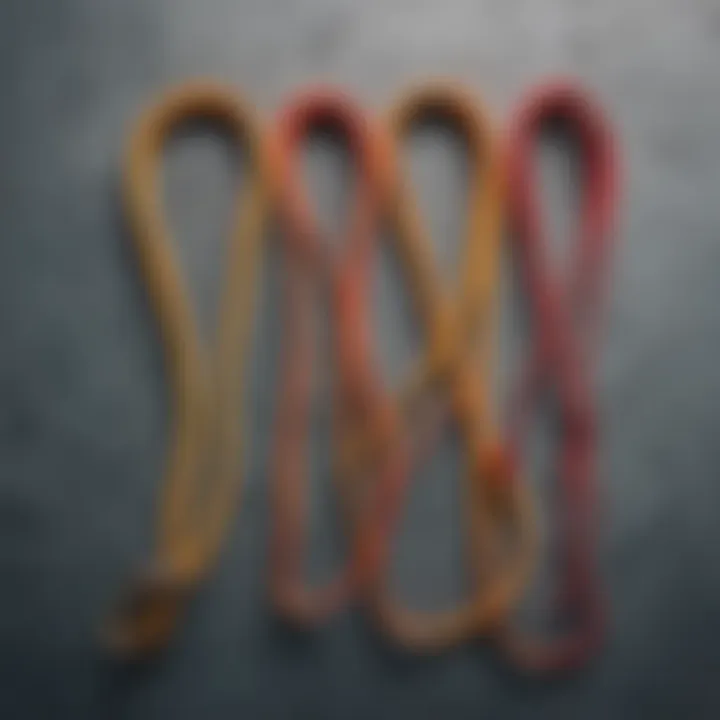 Different types of safety leashes spread out on a surface