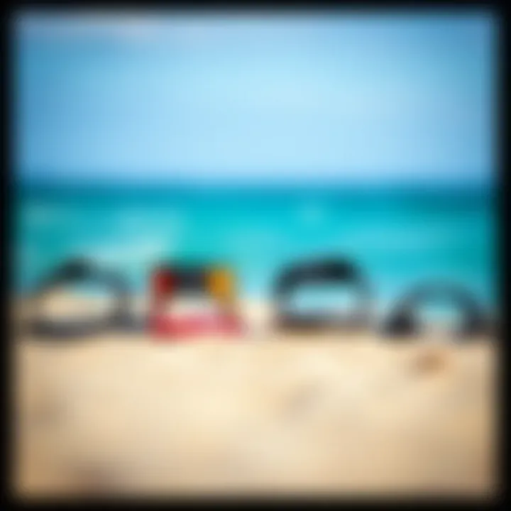 Different styles of footstraps displayed side by side for comparison