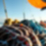 Diverse types of kiteboarding lines displayed