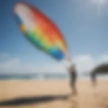 Popular Rei kite models displayed together