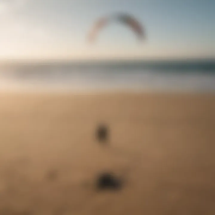 Kite securely anchored on a windy beach