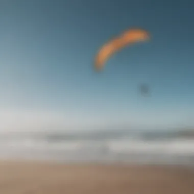 Dynamic kite soaring high above the shoreline