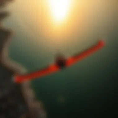 An aerial shot capturing the beauty of a wingfoiling session during golden hour, with vibrant colors.