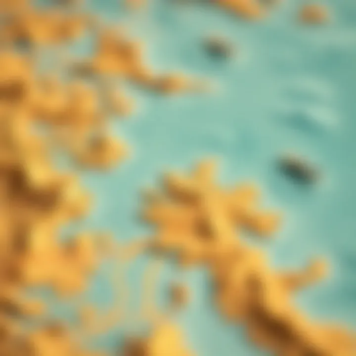 A detailed wind map showcasing the San Francisco coastline