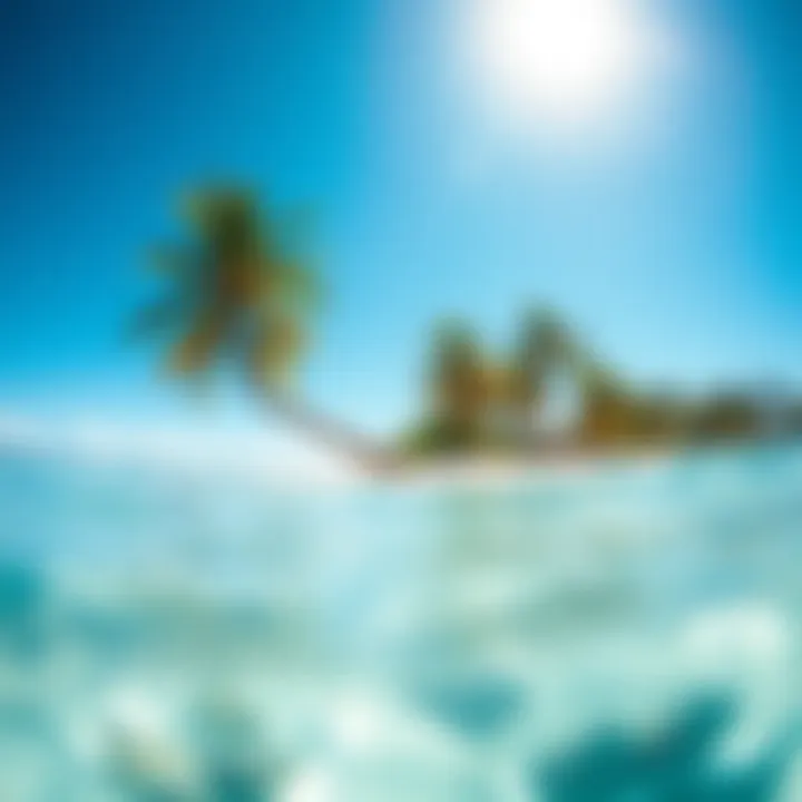 Tropical beach with clear waters under the sun