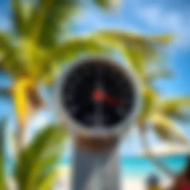 Thermometer showing high temperatures in a tropical setting