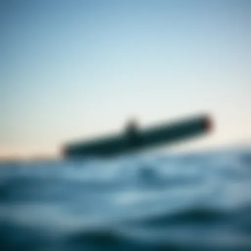 A wingboard gliding across the water under a clear blue sky