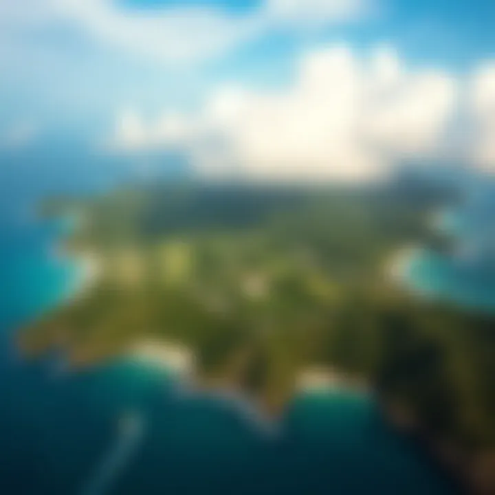 Aerial Perspective of Union Island's Lush Landscapes Aerial view of Union Island showcasing lush landscapes