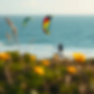 Local amenities and attractions near Witsands